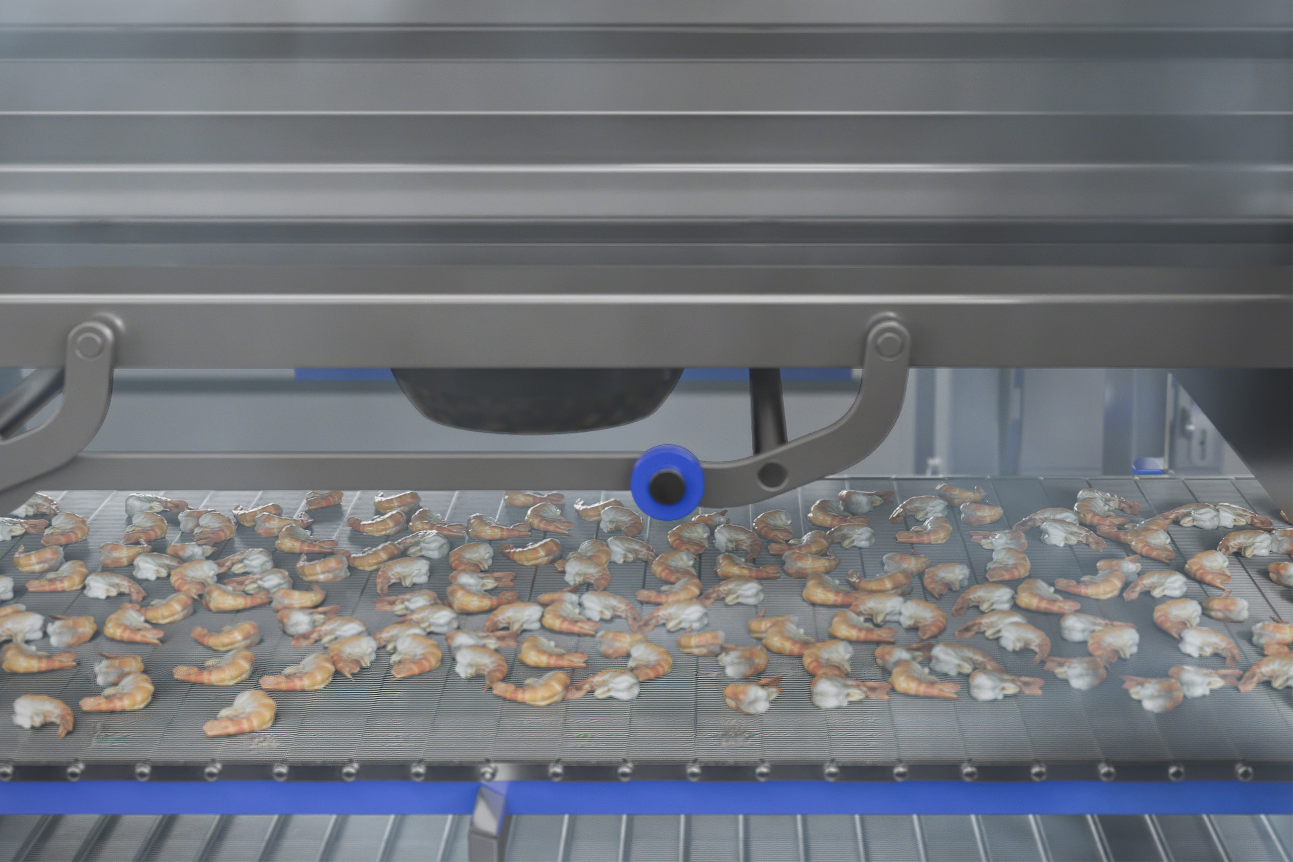 DSI Dantech tunnel freezer 