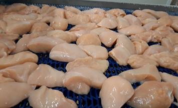 IQF freezing of chicken breasts