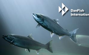 Meet us at Danfish, Oct. 7-9th, 2025
