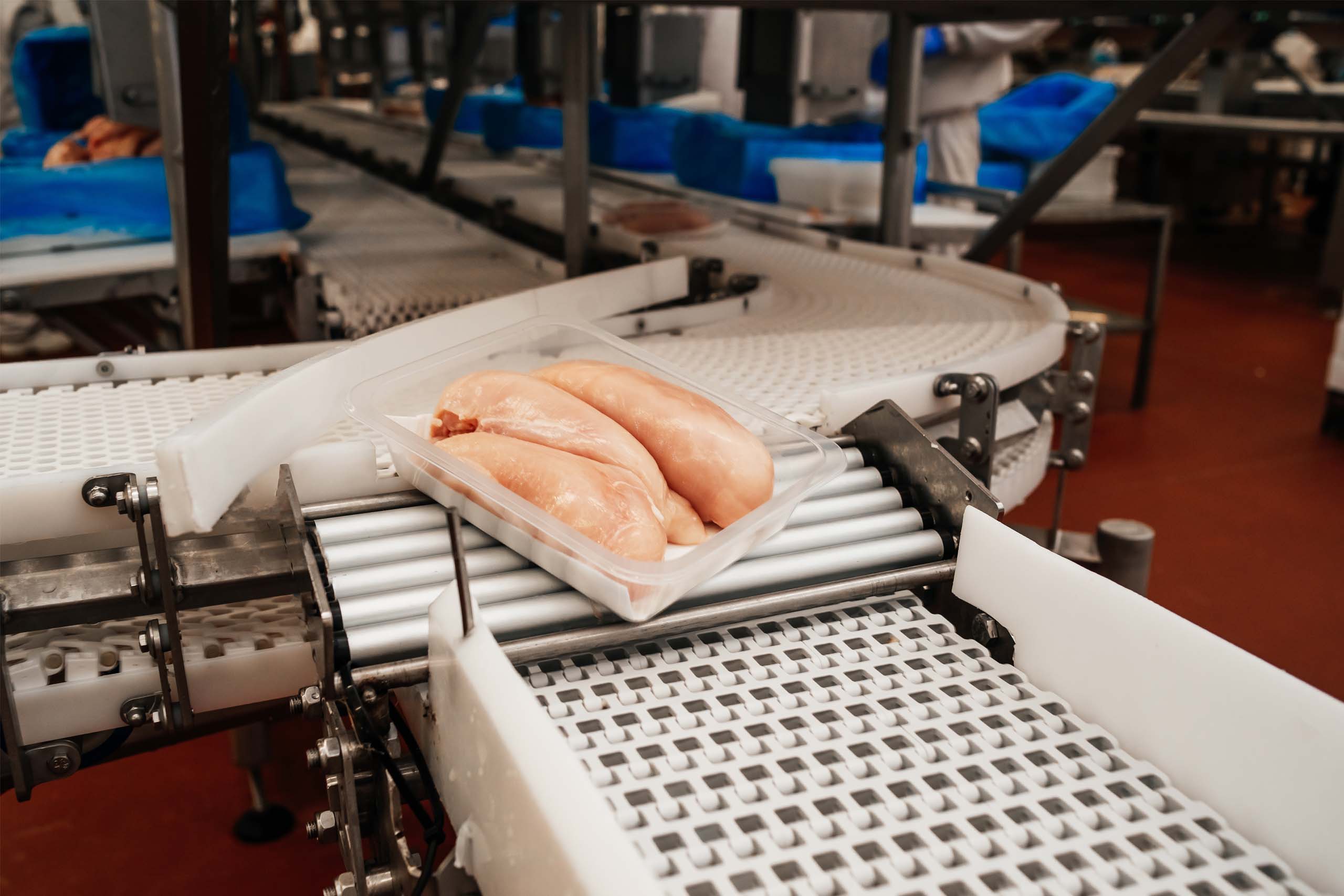 Freezing of quality chicken breast 