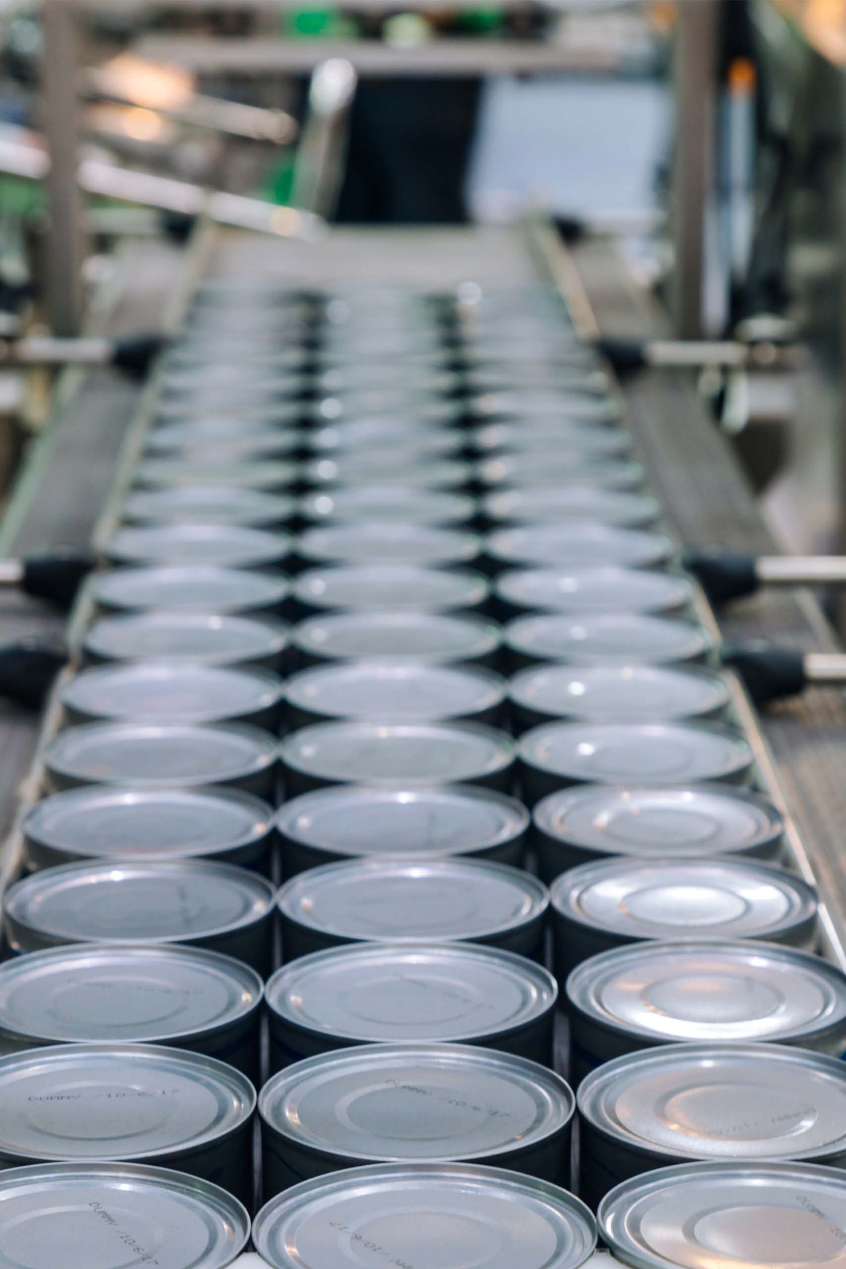 Spiral freezing of canned pet food