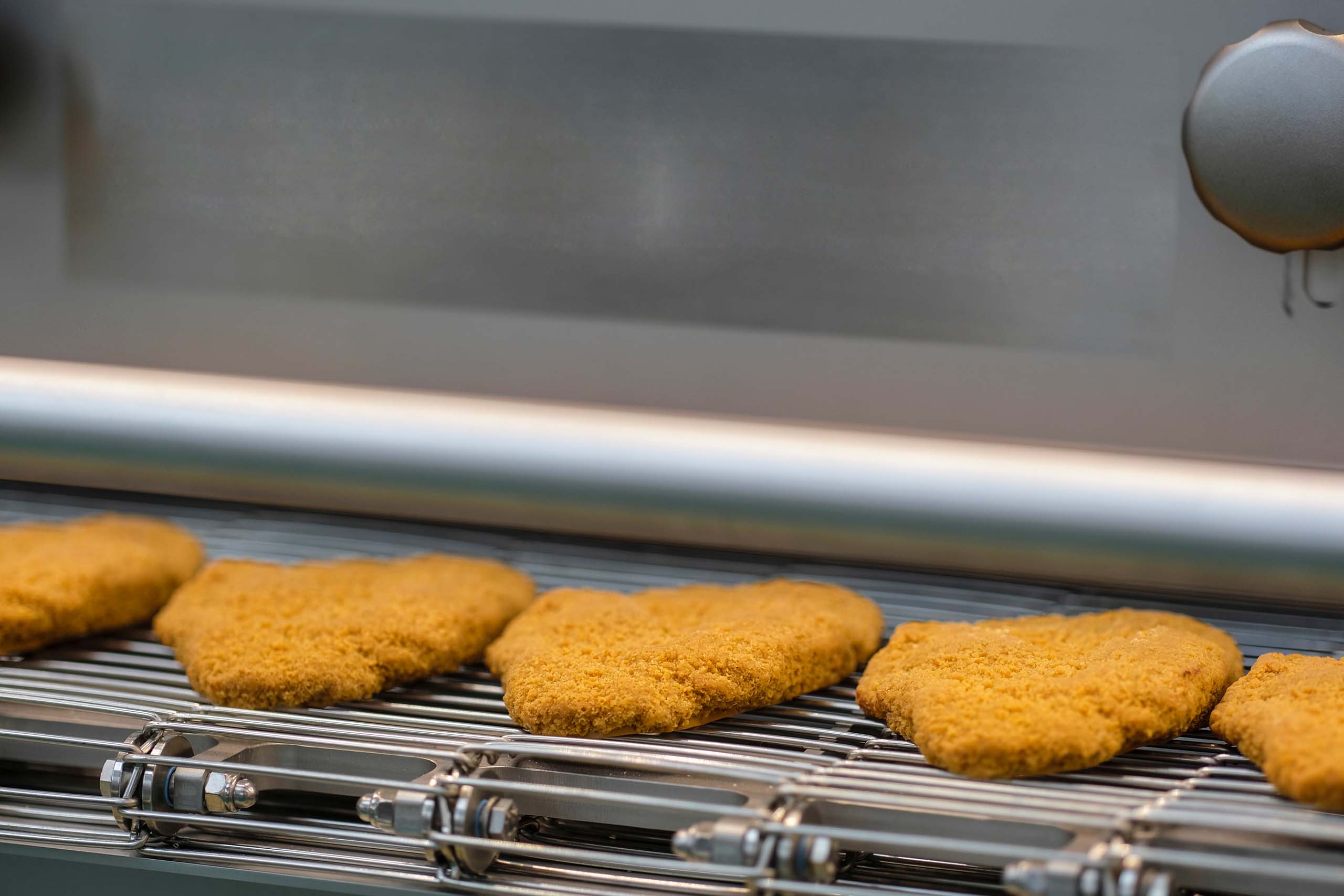 Freezing of schnitzel