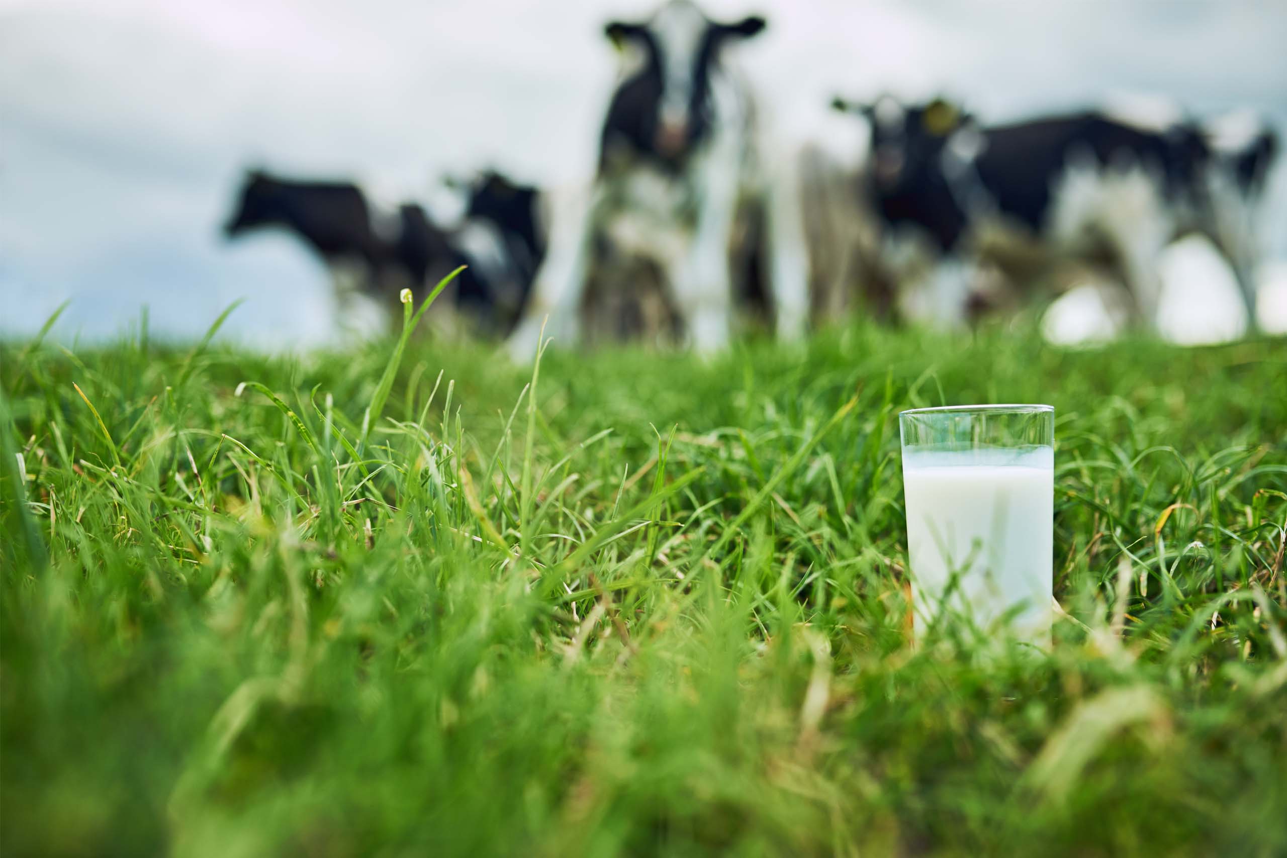 Improved food safety from dairy to deli