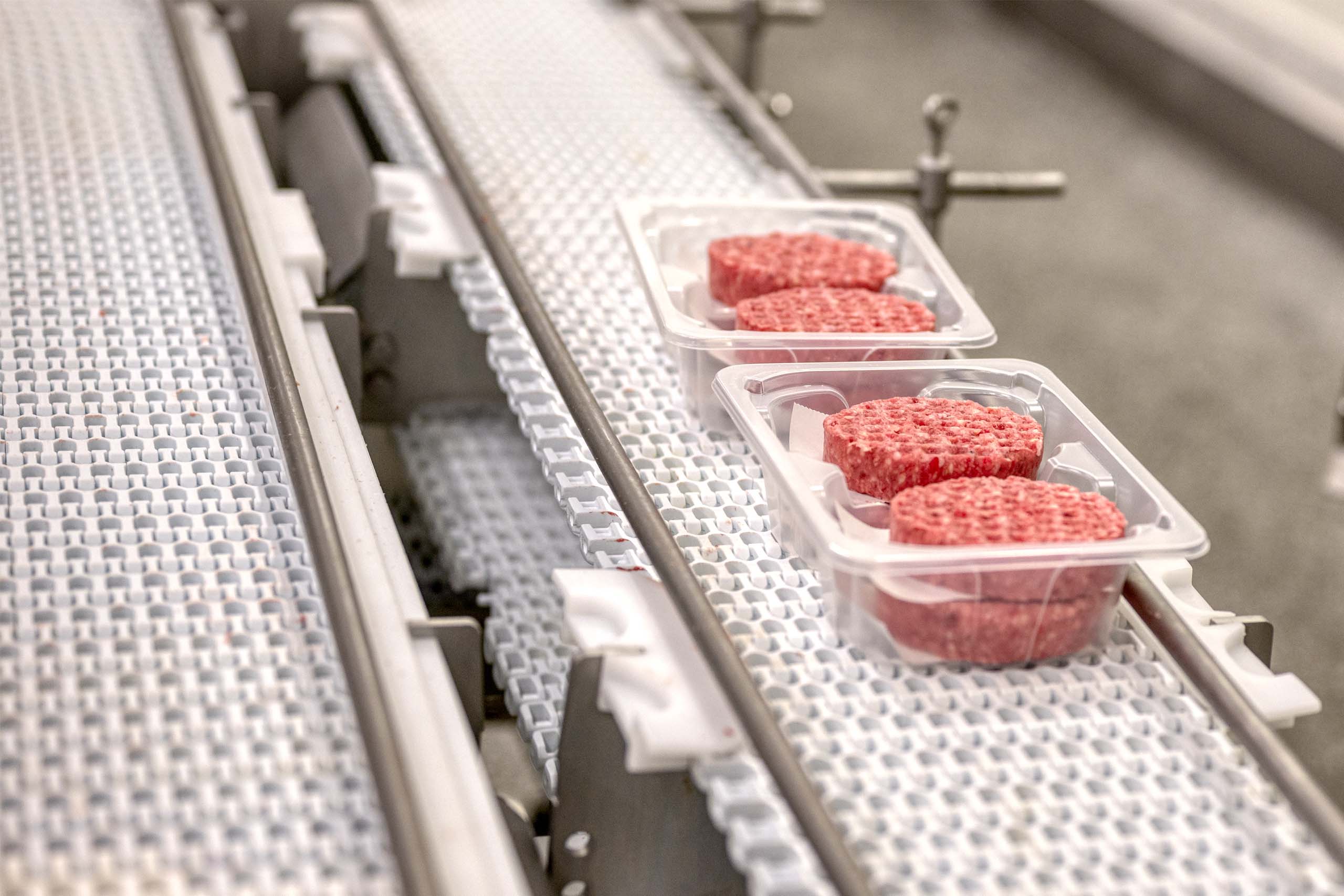 Conveyor solution DSI Dantech