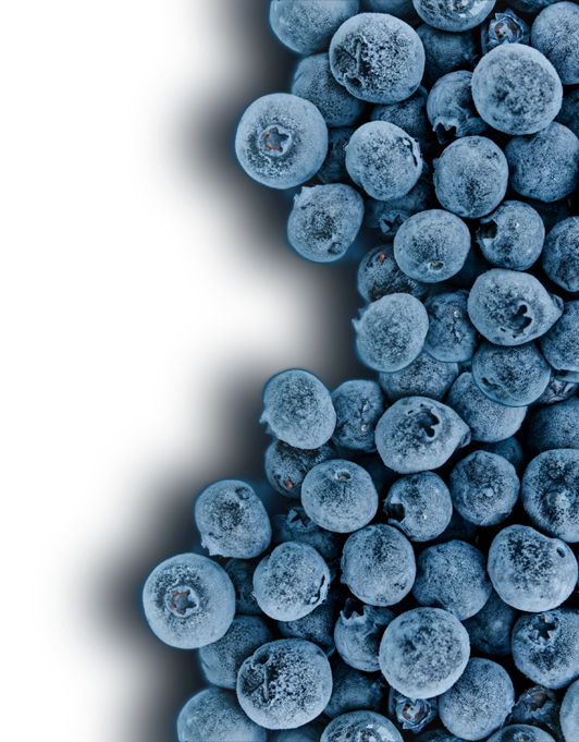 Freezing, cooling and heating of quality fruit